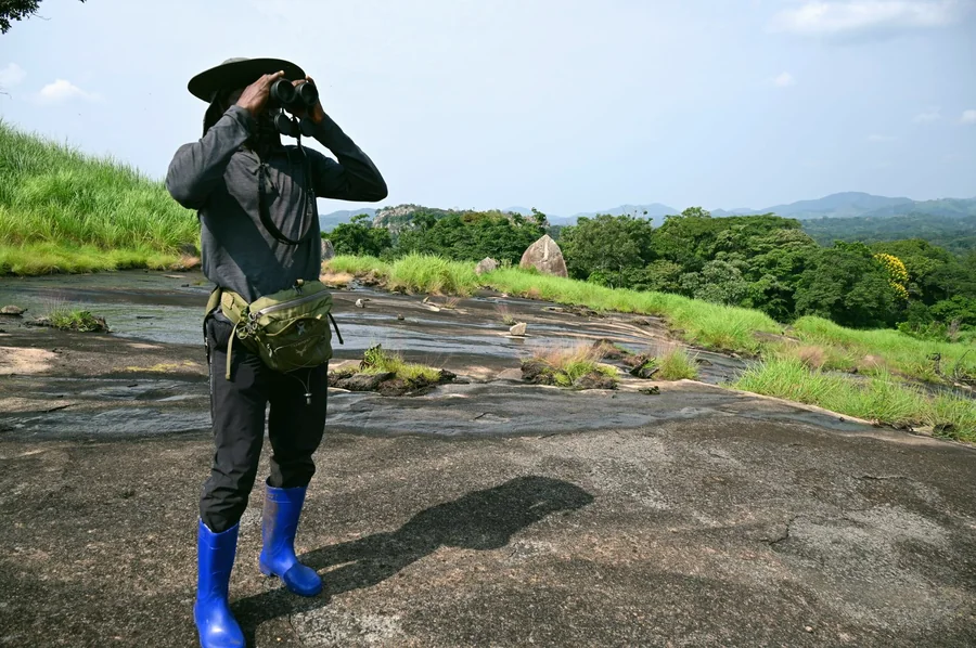 PBCA researcher observing through binoculars during a field mission, DRC
