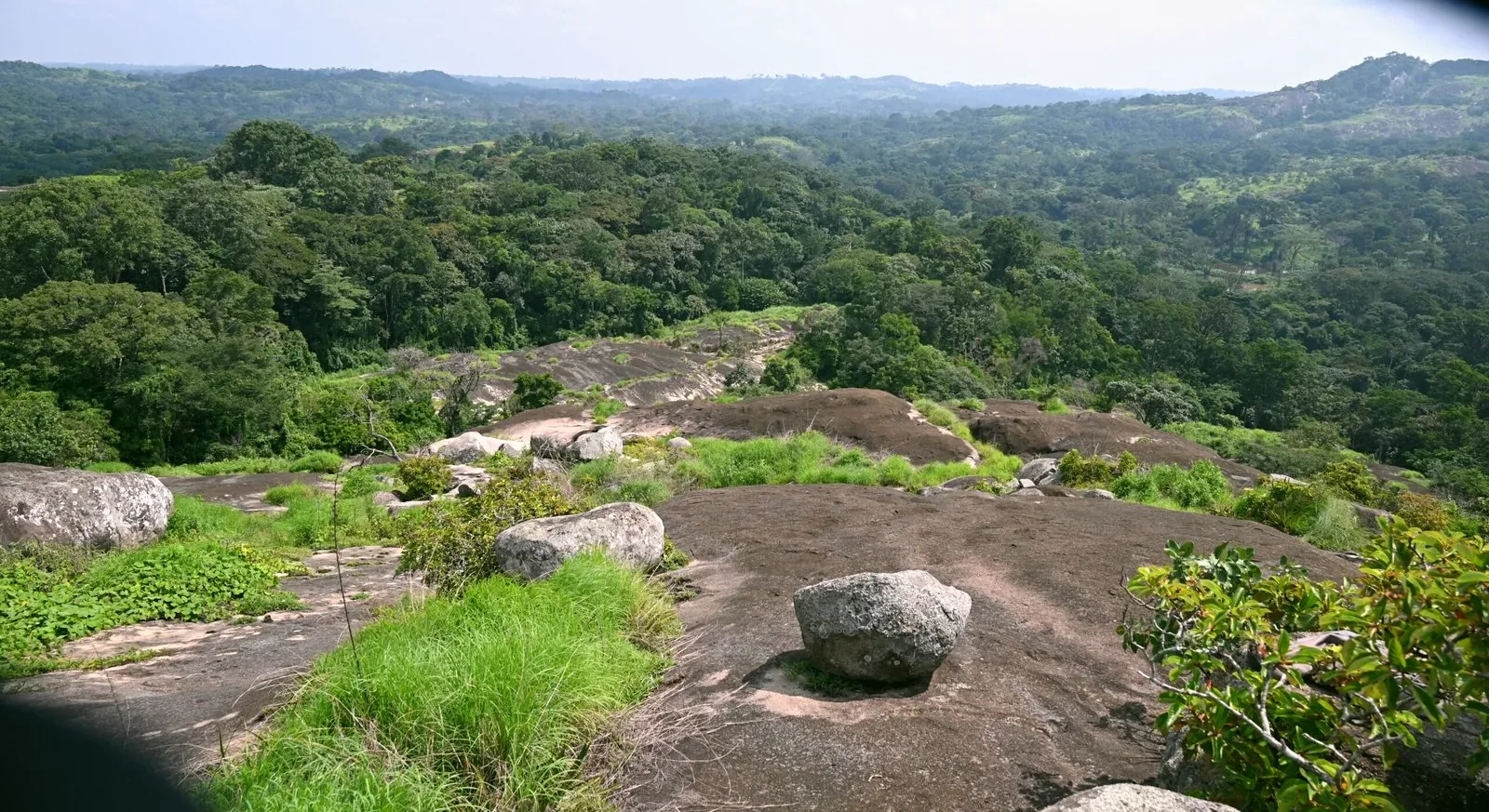 Panorama de forêt tropicale dans le Bassin du Congo, RDC